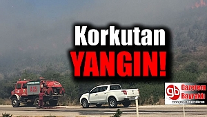 Korkutan yangın