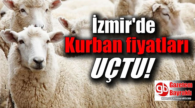 Kurbanlıklar otomobil fiyatına satılıyor