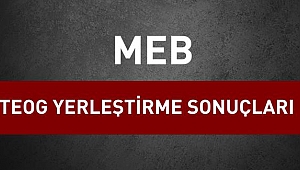 TEOG sonuçları açıklandı - TEOG SORGU EKRANI