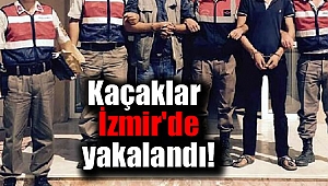 29 kaçak ve 2 organizatör yakalandı