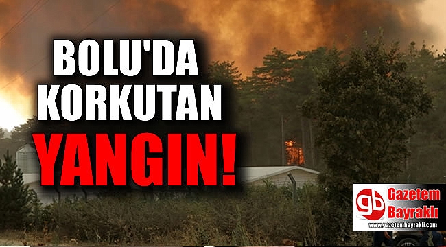 Bolu'da Korkutan Yangın