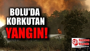 Bolu'da Korkutan Yangın