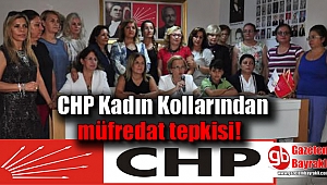 CHP İzmir Kadın Kollarından müfredat tepkisi