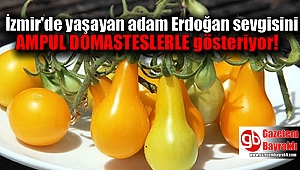 Erdoğan sevgisi ampul domates ektirdi