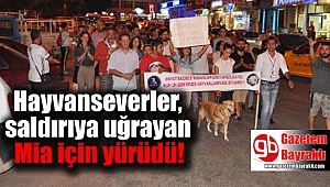 Hayvanseverler, tekmeli saldırıya uğrayan Mia için yürüdü