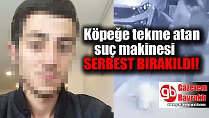 İzmir'de köpeğe tekme atan şahıs serbest bırakıldı