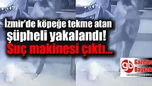 İzmir'de köpeğe tekme atan şüpheli yakalandı, suç makinesi çıktı