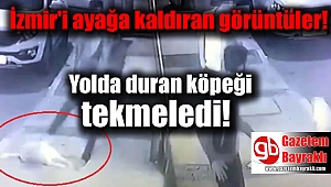 İzmir'de yerde yatan köpeği tekmelediler