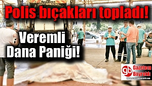 Manisa'da Veremli Kurbanlık Dana Paniği
