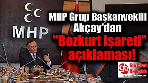 MHP Grup Başkanvekili Akçay'dan bozkurt işareti açıklaması