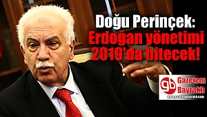 Doğu Perinçek: Erdoğan yönetimi 2019'da bitecek