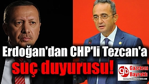 Erdoğan'dan CHP'li Tezcan'a suç duyurusu