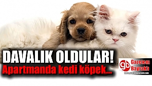 İzmir'de kedi köpek besleyen apartman sakinlerine hakaret