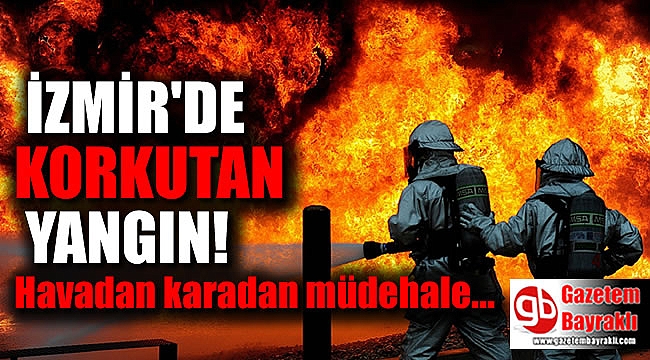 İzmir'de korkutan orman yangını