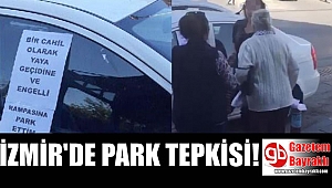İzmir'de otomobilini yaya geçidine park eden kadın sürücüye tepki