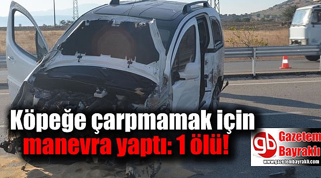 Köpeğe çarpmamak için manevra yaptı: 1 ölü