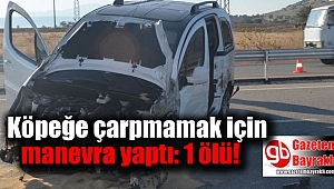 Köpeğe çarpmamak için manevra yaptı: 1 ölü