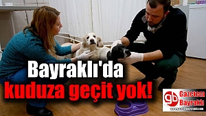 Bayraklı’da kuduza geçit yok
