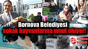 Bornova Belediyesi sokak hayvanlarına umut oluyor