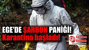Denizli'de 'şarbon' karantinası