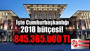 İşte Cumhurbaşkanlığı 2018 bütçesi: 845.365.000 TL