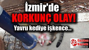 İzmir'de kediye işkence