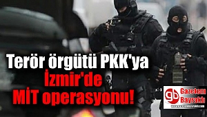 Terör örgütü PKK'ya İzmir'de MİT operasyonu