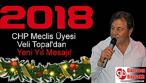 CHP Meclis Üyesi Veli Topal'dan Yeni yıl mesajı