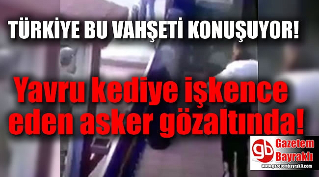Yavru kediye işkence eden asker gözaltında, TSK açıklama yaptı