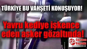 Yavru kediye işkence eden asker gözaltında, TSK açıklama yaptı