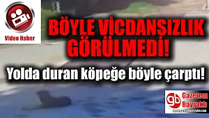 Böyle vicdansızlık görülmedi: Yolda duran köpeğe böyle çarptı