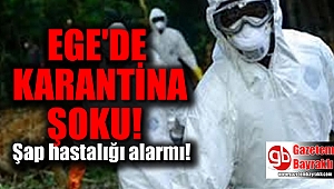 Ege'de karantina şoku: Şap hastalığı alarmı