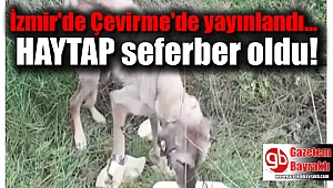İzmir'de Çevirme'de yayınlandı; HAYTAP seferber oldu