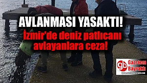 İzmir'de deniz patlıcanı avlayanlara ceza