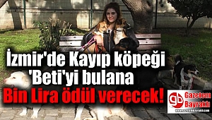 Kayıp köpeği 'Beti'yi bulana Bin Lira ödül verecek