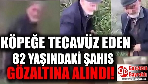Köpeğe tecavüz eden 82 yaşındaki şahıs gözaltına alındı
