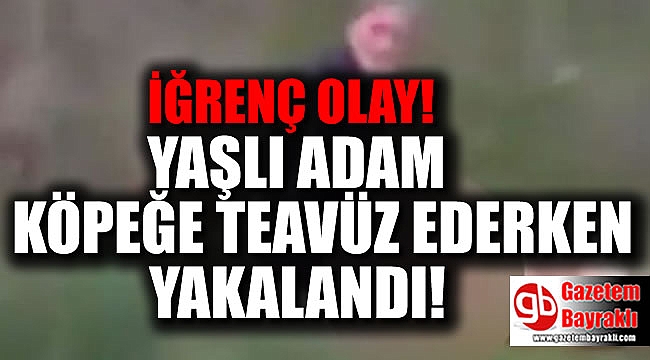 Korkunç olay : Köpeğe tecavüz ederken yakalandı
