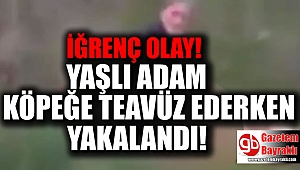 Korkunç olay : Köpeğe tecavüz ederken yakalandı