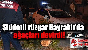 Şiddetli rüzgar Bayraklı'da ağaçları devirdi