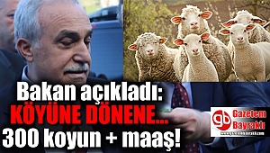 Bakan açıkladı : Köyüne geri dönene 300 koyun + maaş