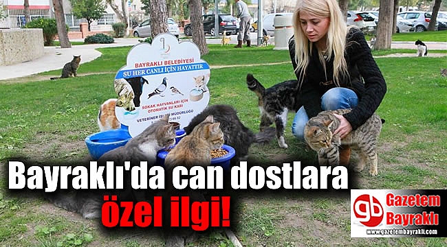 Bayraklı'da can dostlara özel ilgi