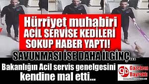 Hürriyet muhabiri kediyi hastaneye sokup haber yaptı