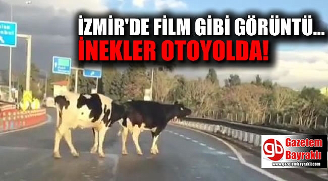 İzmir'de film gibi görüntü