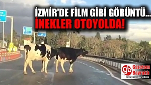 İzmir'de film gibi görüntü