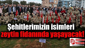 Şehitlerin İsmi Zeytin Fidanında Yaşayacak