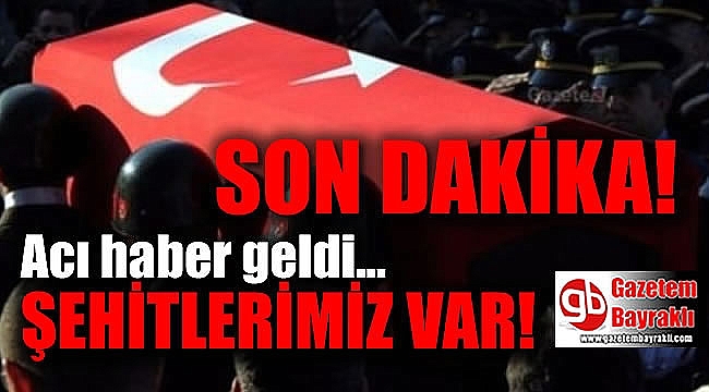 Afrin'den acı haber : 2 Şehit