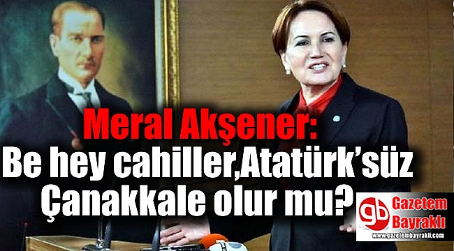 Akşener: Be hey cahiller, Atatürk'süz Çanakkale olur mu