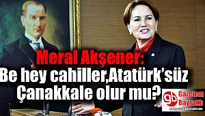Akşener: Be hey cahiller, Atatürk'süz Çanakkale olur mu