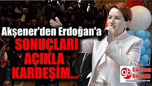 Akşener, Erdoğan'a kamuoyu araştırmalarını sordu