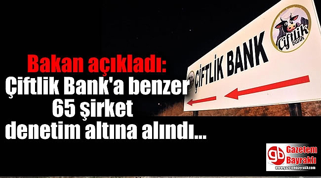 Bakan açıkladı: Çiftlik Bank'a benzer 65 şirket denetim altına alındı